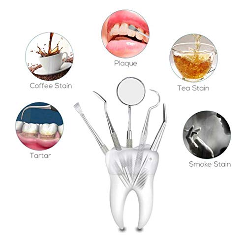Portal Cool 1 unids Extremos Dobles Dentista Dientes Limpia Higiene Explorador Sonda de Gancho SelecciÃ³n Acero Inoxidable Herramienta Dental Productos Dentista Instrumento