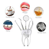 Portal Cool 1 unids Extremos Dobles Dentista Dientes Limpia Higiene Explorador Sonda de Gancho SelecciÃ³n Acero Inoxidable Herramienta Dental Productos Dentista Instrumento