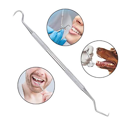Portal Cool 1 unids Extremos Dobles Dentista Dientes Limpia Higiene Explorador Sonda de Gancho SelecciÃ³n Acero Inoxidable Herramienta Dental Productos Dentista Instrumento