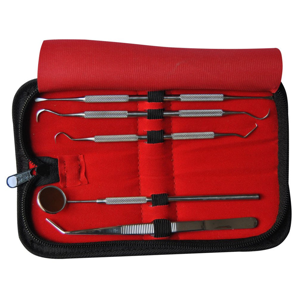 Dentist Prepared Tools Kit | Dental Tools Dental Pick Dental Floss Gum Floss Threaders Toothpicks dental Hygiene Kit Set Dental Instruments High Grade Stainless Steel Tartar Scraper Tartar Remover